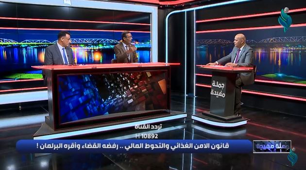 برنامج جملة مفيدة || قانون الامن الغذائي و التحوط المالي رفضه القضاء و أقره البرلمان