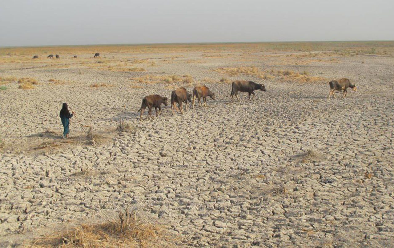 تقرير: البصرة وميسان وذي قار الأكثر تضرراً من تغيّر المناخ في العراق
