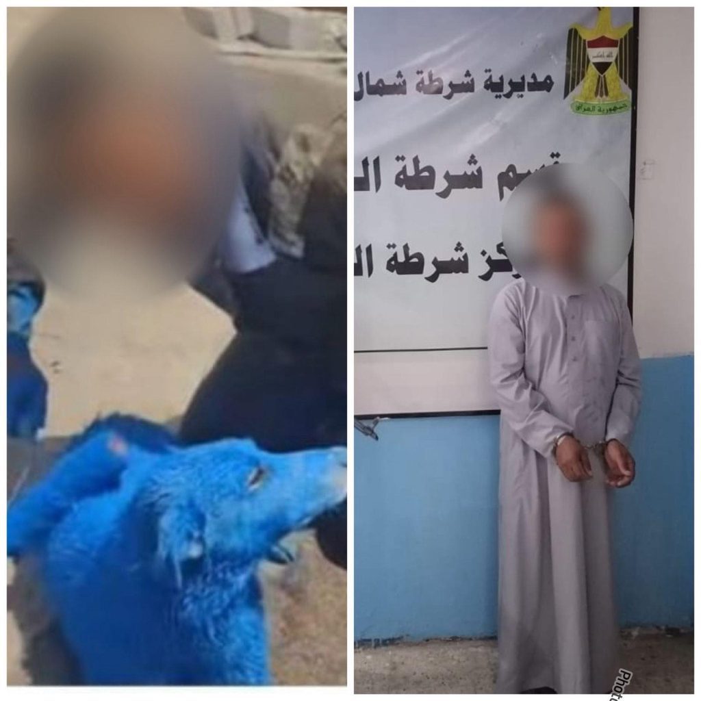 شرطة البصرة تعتقل صاحب “الكلب الأزرق” بتهمة الإساءة للحيوانات