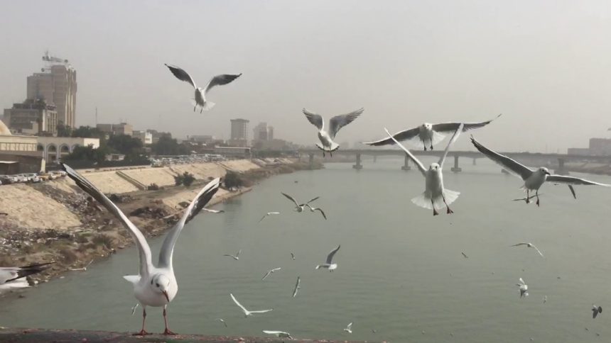 طقس العراق.. غبار وانخفاض تدريجي في درجات الحرارة الأسبوع المقبل