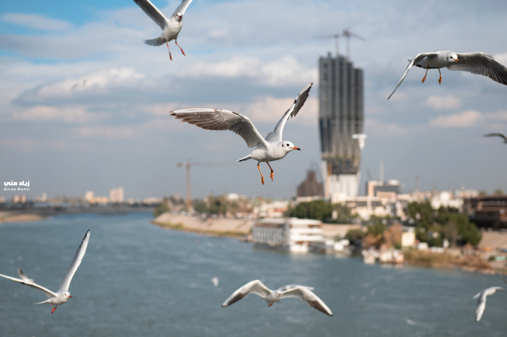 الطقس.. الأجواء صحوة مع درجات حرارة ثلاثينية الطقس.. الأجواء صحوة مع درجات حرارة ثلاثينية