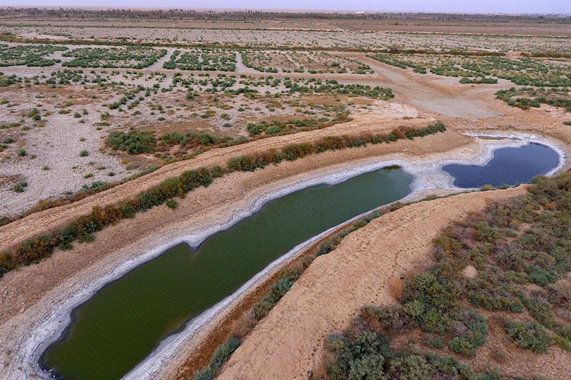 لجنة الزراعة النيابية: العراق لا يزال بعيداً عن خط الأمان المائي والموجة المطرية “محدودة”