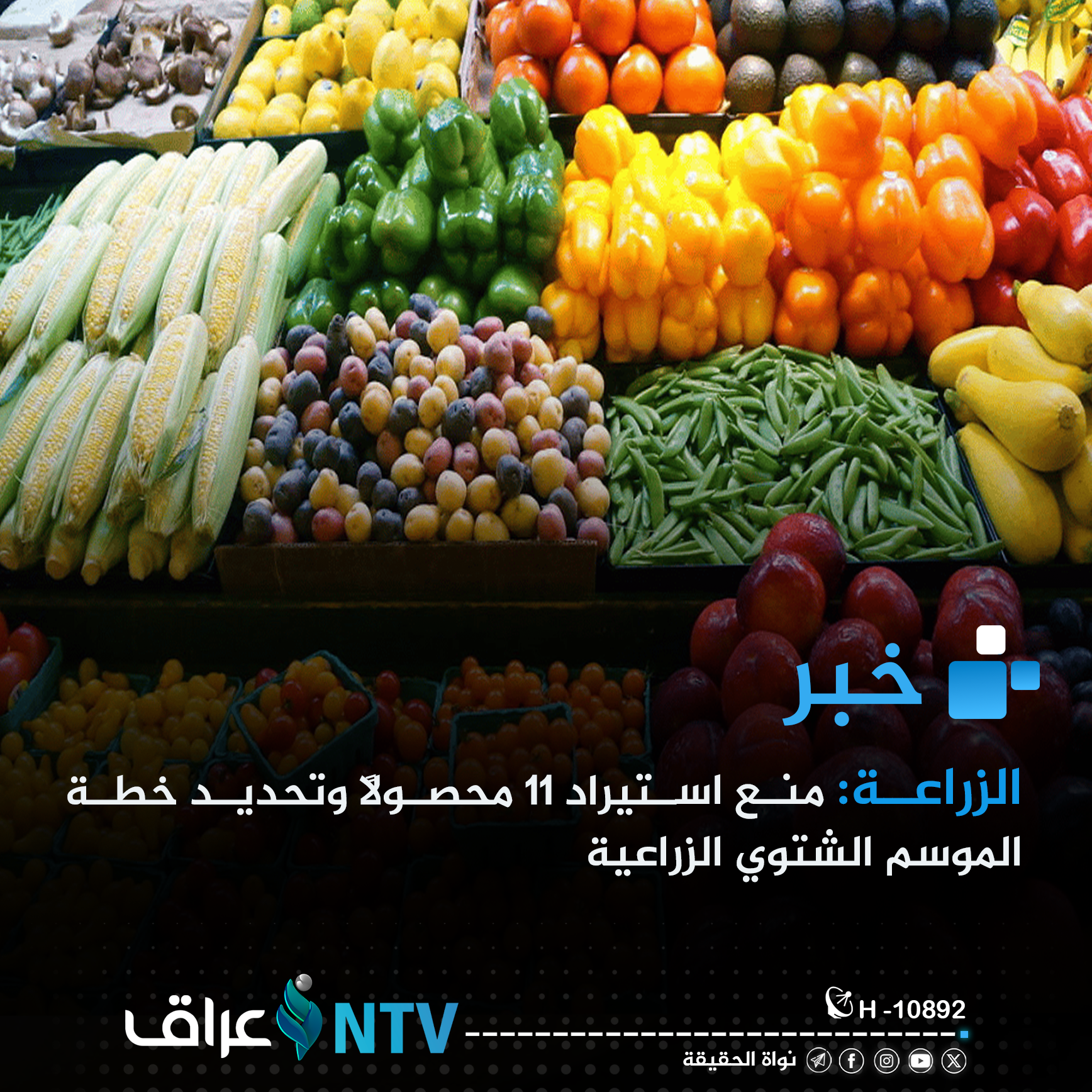 الزراعة: منع استيراد 11 محصولاً وتحديد خطة الموسم الشتوي الزراعية